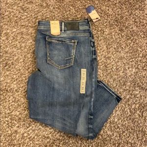 Plus Size Elyse Ankle Skinny Silver Jeans